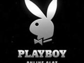PLAYBOY