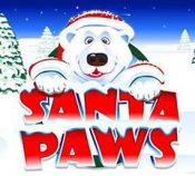 Santa Paws
