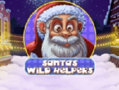 Santa Wild Helpers