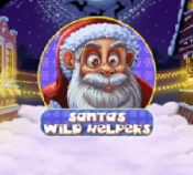 Santa Wild Helpers
