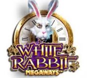 WHITE RABBIT