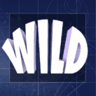 wild symbol slotsfans