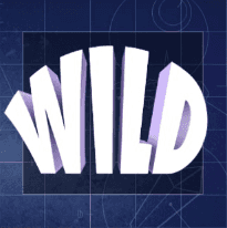 wild symbol slotsfans